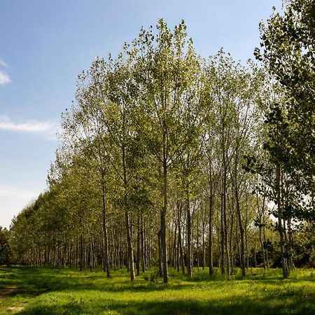 Masseria Giosole Капуа Екстер'єр фото