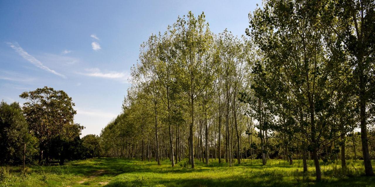 Masseria Giosole Капуа Екстер'єр фото